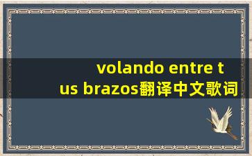 volando entre tus brazos翻译中文歌词